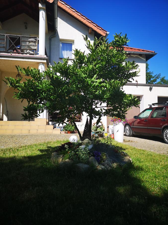 Casa Del Fasa Daire Polanica-Zdroj Dış mekan fotoğraf